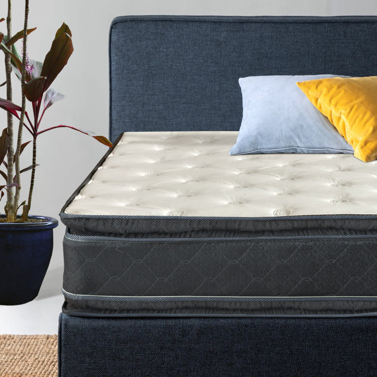 Spinal Solution Matelas Hybride Ressorts Ensach S Po Wayfair Canada